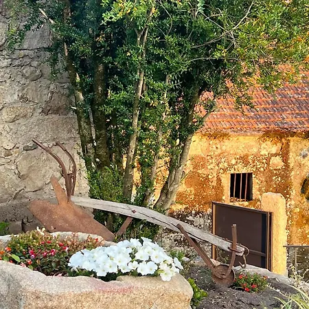 Campo Villa Alcofra