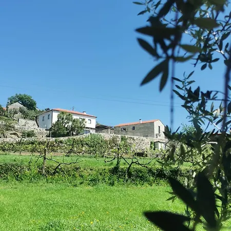 Campo Alcofra